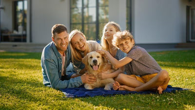 15 Ways to Memorialize Your Pet: Remembering Your Beloved Friend
